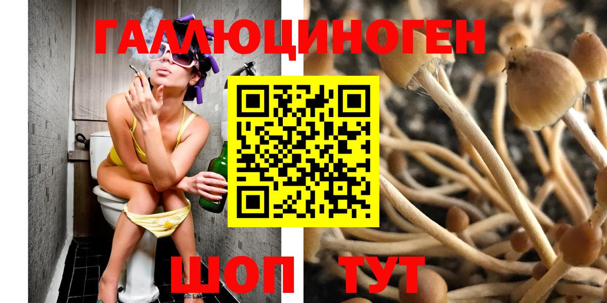 Галлюциногенные грибы Magic Shrooms Симферополь